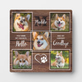 Plaque Photo Collage photo personnalisé pour animaux de compagn (Devant)