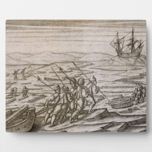 Plaque Photo Collecte de bois flotté pour le cabine dans lequel