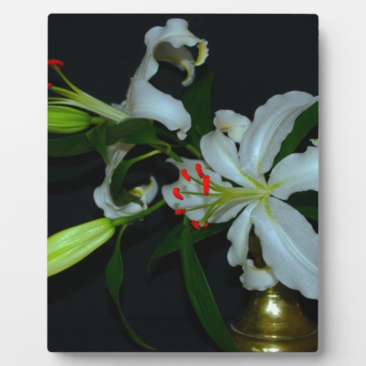 Plaque Photo Collection Irlandaise de laiton et de fleurs (Devant)