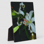 Plaque Photo Collection Irlandaise de laiton et de fleurs (Côté)