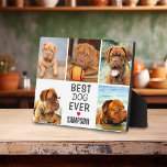 Plaque Photo Collection photo moderne Best Dog Ever | Animal<br><div class="desc">Une plaque de collage photo moderne pour votre animal de compagnie bien-aimé. Que ce soit un chien,  un chat,  un lapin ou un oiseau. Une conception simple de 5 photos et texte qui peut être facilement customisé. Il était fantastique dans n'importe quelle maison et ferait aussi un grand cadeau.</div>