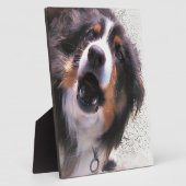 PLAQUE PHOTO COLLÈGES FRONTALIERS (Côté)