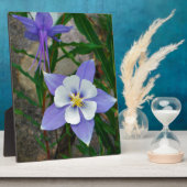 Plaque Photo Colonne bleue (Côté)