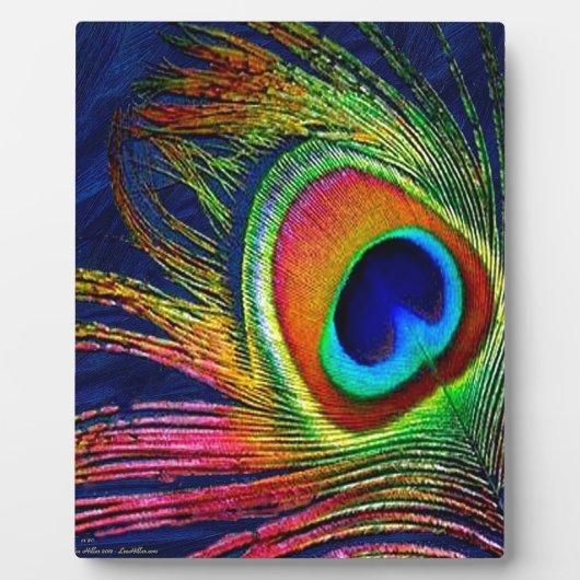Plaque Photo Colorful Peacock Feather (Devant)
