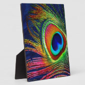 Plaque Photo Colorful Peacock Feather (Côté)