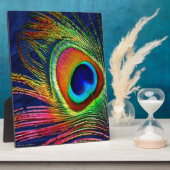 Plaque Photo Colorful Peacock Feather (Côté)