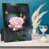Plaque Photo Comme un Rose (Côté)