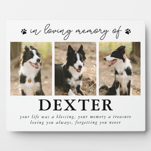 Plaque photo commémorative de perte d'animal moder (Devant)