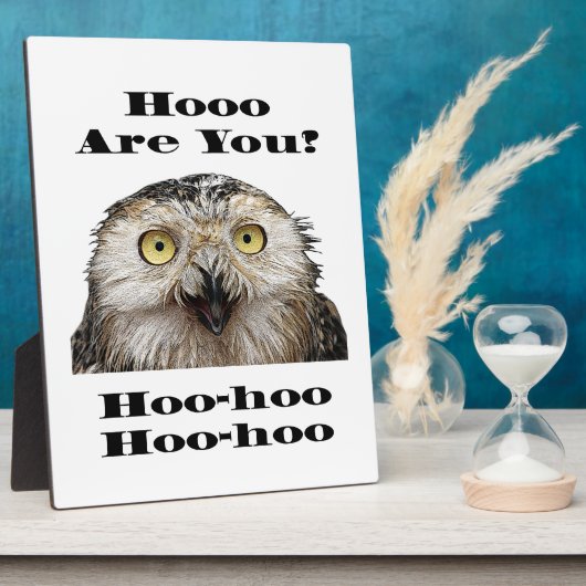 Plaque Photo Comment Es-Tu ? Owl Qui Êtes-Vous ? (Côté)