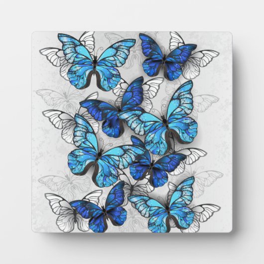 Plaque Photo Composition des White and Blue Butterflies (Devant)