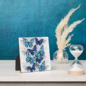 Plaque Photo Composition des White and Blue Butterflies (Insitu)