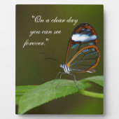 Plaque Photo Conception de papillon de Glasswing "temps clair" (Devant)
