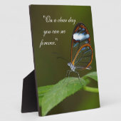 Plaque Photo Conception de papillon de Glasswing "temps clair" (Côté)