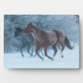 Plaque Photo Conduite de chevaux (Devant)