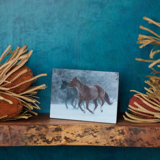 Plaque Photo Conduite de chevaux (Côté)