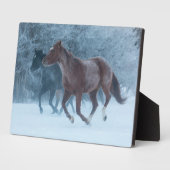 Plaque Photo Conduite de chevaux (Côté)