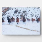 Plaque Photo Conduite de chevaux Cowboy | Ranch Hideout, Shell, (Devant)