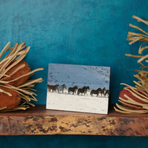 Plaque Photo Conduite de chevaux en hiver au Hideout Ranch