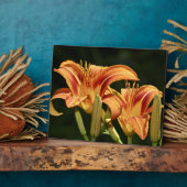 Plaque Photo Considérons Les Lilies Du Terrain (Côté)