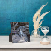 Plaque Photo Contremaître De Possum À Ringtail Au Travail, (Insitu)