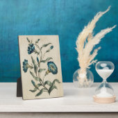 Plaque Photo Convolvulus vintage végétal (Côté)