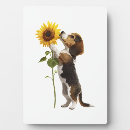 Plaque Photo Copie Beagle (Devant)