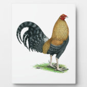 Plaque Photo Coq de combat : Dom ou Crele (Devant)