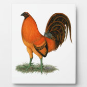 Plaque Photo Coq de combat Ginger Rouge (Devant)