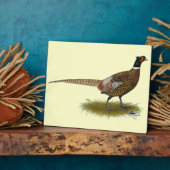 Plaque Photo Coq de faisan (Côté)