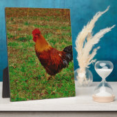 Plaque Photo Coq face à gauche (Côté)