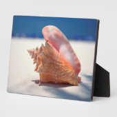 Plaque Photo Coque Conch Sur Plage 2 (Côté)