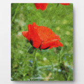 Plaque Photo Coquelicot rouge (Devant)