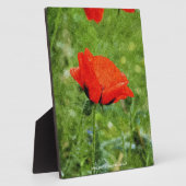 Plaque Photo Coquelicot rouge (Côté)