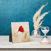 Plaque Photo Coquelicot rouge isolé dans un champ herbeux (Insitu)