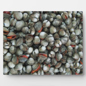 Plaque Photo Coques de coques de sang (Devant)