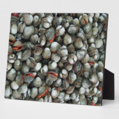 Plaque Photo Coques de coques de sang (Côté)