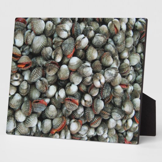 Plaque Photo Coques de coques de sang (Côté)