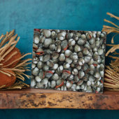 Plaque Photo Coques de coques de sang (Côté)