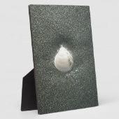 Plaque Photo Coques de mer Hakuna Matata.JPG (Côté)