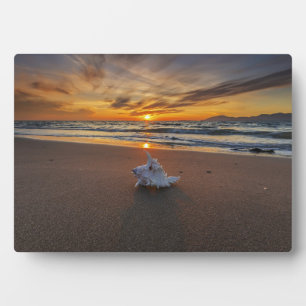 Plaque Photo Coquille À La Plage Au Coucher Du Soleil Île de