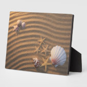 Plaque Photo Coquilles De Mer Et Éternuers (Côté)