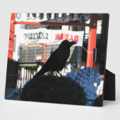 Plaque Photo Corbeau japonais (Côté)
