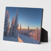 Plaque Photo Corégone, Montana (Côté)