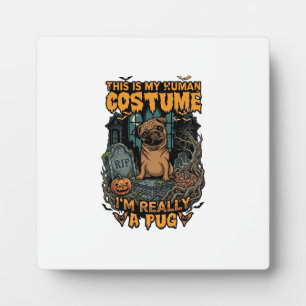 Plaque Photo Costume Humain Pug Halloween Citrouille Pierre Tom