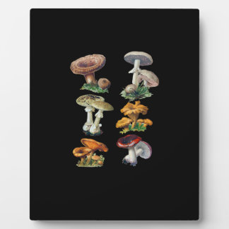 Plaque Photo Cottagecore Mushrooms Goblincore Aesthetic Mushroo