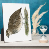 Plaque Photo Coturnix Quail (Côté)