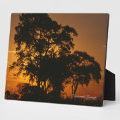Plaque Photo Coucher de soleil à Savannah (Côté)
