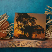 Plaque Photo Coucher de soleil à Savannah (Côté)