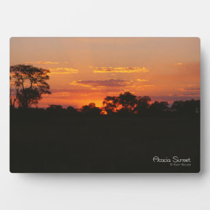 Plaque Photo Coucher de soleil Acacia