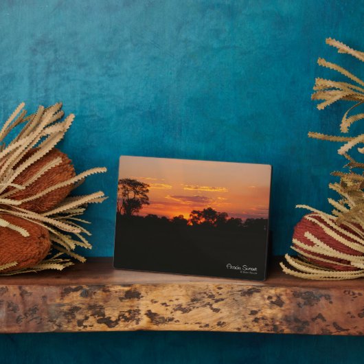 Plaque Photo Coucher de soleil Acacia (Côté)
